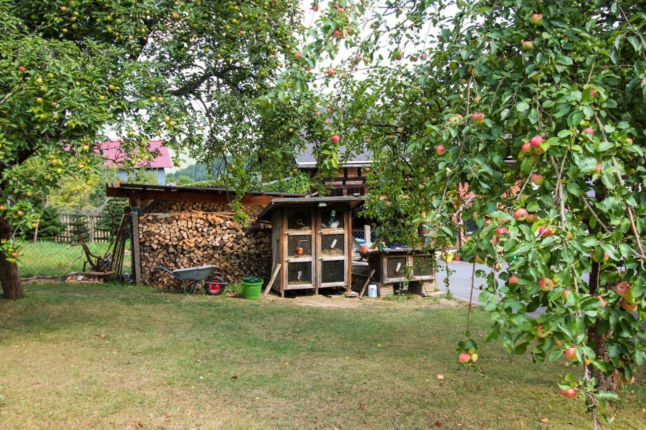 Hotel Haus Sonnenwalde - Familie Ruhe Rohrbach  Exteriér fotografie
