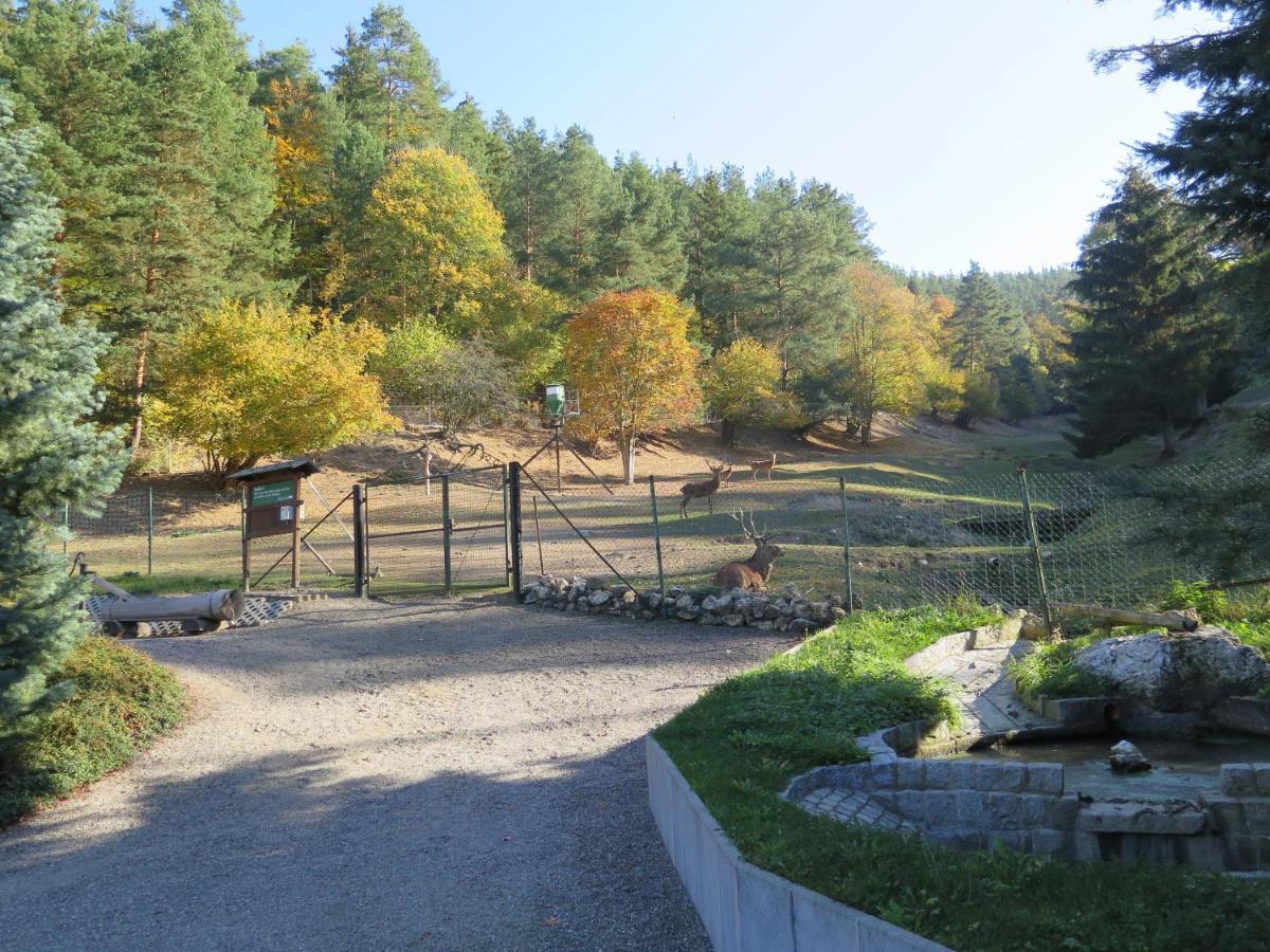 Hotel Haus Sonnenwalde - Familie Ruhe Rohrbach  Exteriér fotografie